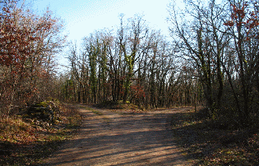 BOUCLE DU TERRIER-dordogne