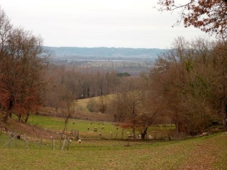 CAMPAGNE DE  SAUSSIGNAC-dordogne