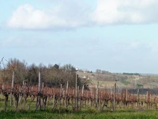 NASTRINGUES-dordogne