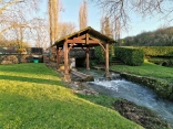 ST-MARCEL-DU-PERIGORD - LA FORET BASSE-dordogne