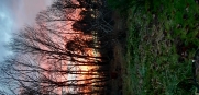 RANDONNEE FORESTIERE-dordogne