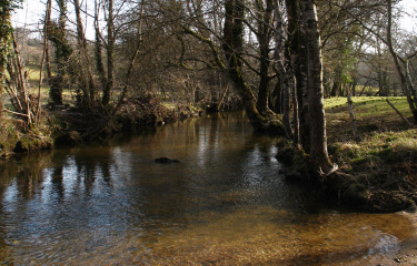 Saint Martin de Fressengeas -dordogne