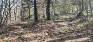 AUGIGNAC - LES CHADAUDS-dordogne