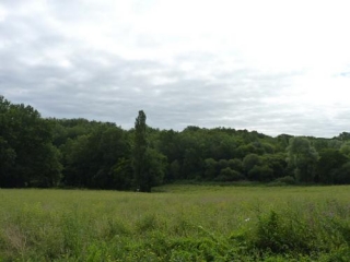 NASTRINGUES (2)-dordogne