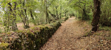 MAREUIL VERT-dordogne