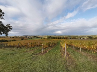 FLAUGEAC & SINGLEYRAC 24-dordogne