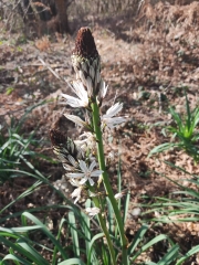 SALON - LIEUDIT -dordogne