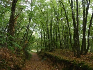 MONTPEYROUX-dordogne