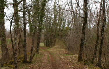 SAINT EULALIE D ANS-dordogne