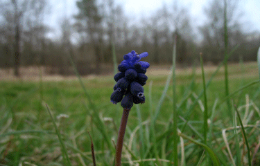 SAINT EULALIE D ANS-dordogne
