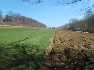 RANDONNEE AUX TERRES DE CHAUX-doubs