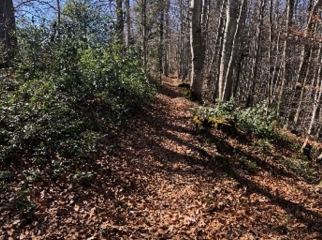 LAVIRON - MORTE COMBE-doubs