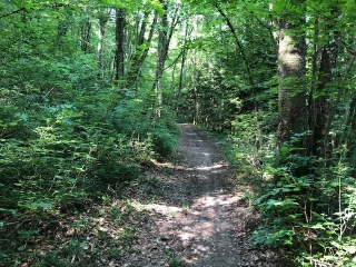 AUTECHAUX-ROIDE - LES OICHES-doubs