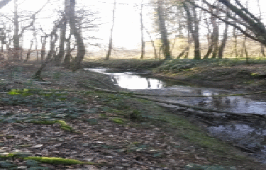 CUSSEY - RUISSEAU D AUXON-doubs