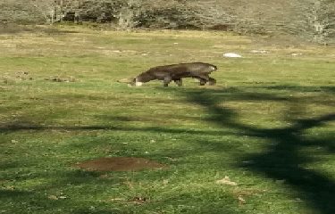 LA CLUSE-ET-MIJOUX - FORT MALHER-doubs