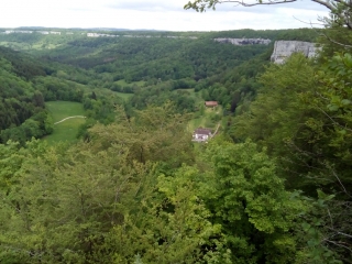 DECOUVRIR OU REDECOUVRIR LE GRAND BOIS D AMANCEY-doubs