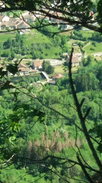 POINT DE VUE DU MOINE PUIS RENEDALE SOURCE DE LA LOUE-doubs