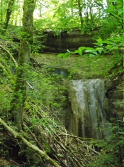 PROMENADE EN FORETS DE FLAGEY ET SILLEY-doubs
