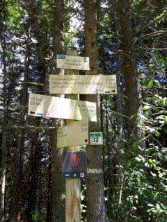 RANDONNEE SOUS LES FALAISES DU MONT D OR-doubs