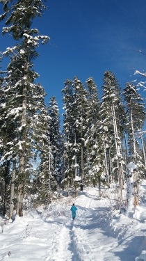 RANDO EN RAQUETTES OU PEDESTRE TRES FACILE-doubs