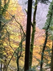 NANS-SOUS-SAINTE-ANNE  - SOURCE ET CASCADE DU LISON-doubs