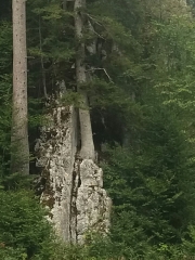 DAMES DE ENTRESPORTES - LE GRAND TAUREAU-doubs