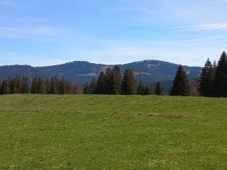 LE PETIT VITIAU EN RAQUETTES OU A PIEDS AU DEPART DE LA JOUX VERTE-doubs