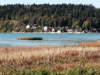 LA GOUILLE (PEU SE FAIRE EN RAQUETTES MAIS LE CIRCUIT N EST PAS FAIT )-doubs