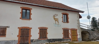 LES ROCHERS DU CERF-doubs