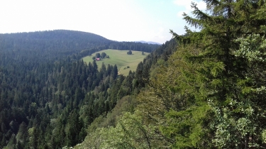 LES ROCHERS DU CERF-doubs