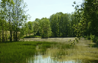 DANNEMARIE-SUR-CRETE-doubs