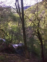 VALLEE LA LOUE-doubs