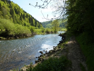LE LONG DU DOUBS-doubs