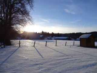 BELLEHERBE - BOIS DU BERMONT-doubs
