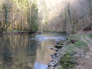 ETERNOZ - BOIS DES BORNES-doubs