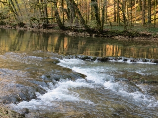 ETERNOZ - BOIS DES BORNES-doubs
