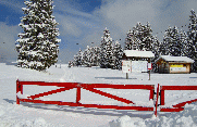PISTE CHALET PIN-doubs