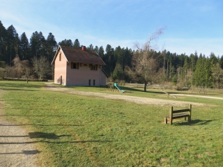 FORET DE LEVIER-doubs