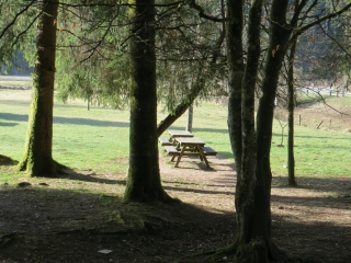 FORET DE LEVIER-doubs