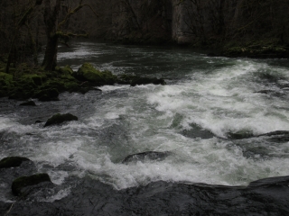 BELVEDRE DES VIEILLES FEMELLES-doubs