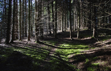 GR5 - PARTIE 4-doubs