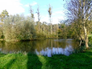 CHEVIGNEY-SUR-L OGNON-doubs
