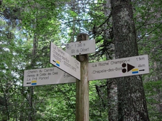 CHALET GAILLARD PAR LES FALAISES-doubs