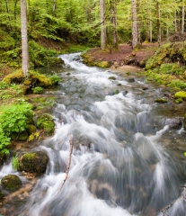 MALBUISSON - LA SOURCE BLEUE-doubs