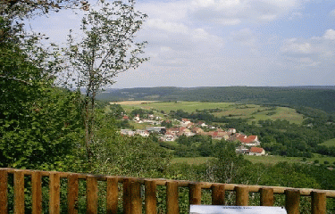 BOIS DE BARTHERANS-doubs
