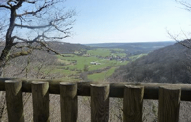 BOIS DE BARTHERANS-doubs