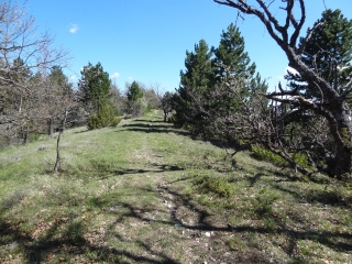 AULAN - LE POET-EN-PERCIP-drome