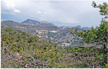 LE GROS MOURE - BENIVAY-OLLON-drome