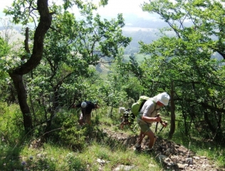 COMPS - CRETE ST MAURICE-drome