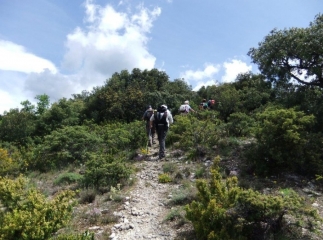 MIRABEL-AUX-BARONNIES-drome